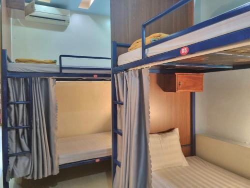two bunk beds in a dorm room with at Ha Giang Donkey hostel in Ha Giang