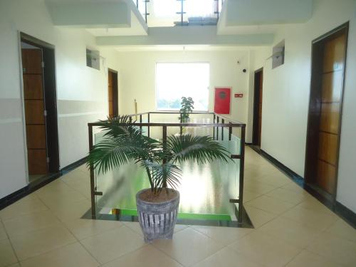 a potted plant in the middle of a hallway at Eder Hotel in Cacoal
