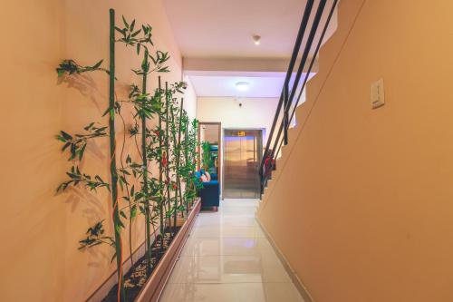 HOTEL CASA LUNA – Photos 3