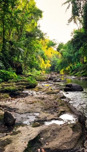 a river with rocks and trees in the background at Nunu Bali Eco Friendly Retreat in Canggu
