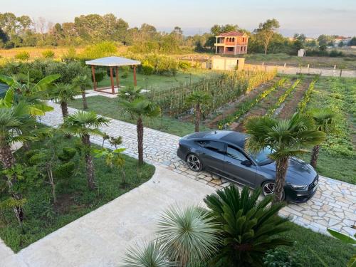 Jardín al aire libre en Villa 100 Palme