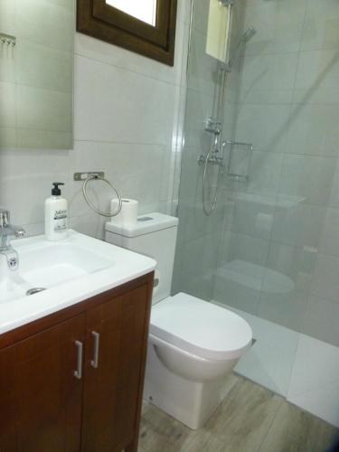 a bathroom with a toilet and a shower and a sink at La Casina de Torra in Ribadesella