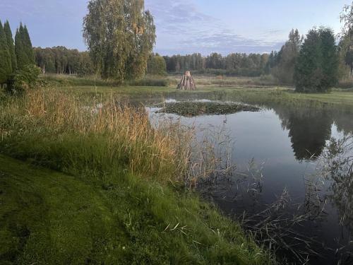 a pond with a fire place in the middle of a field at Wiire old fishermans farmhouse and smoke sauna in Saulepa