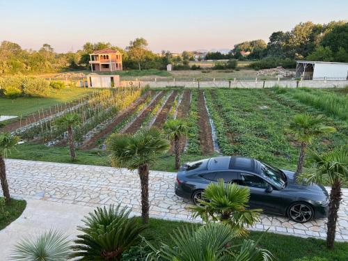 Jardín al aire libre en Villa 100 Palme
