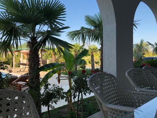 Jardín al aire libre en Villa 100 Palme