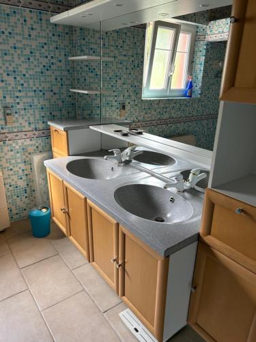 a bathroom with two sinks and a mirror at la maison dans les prés in Labaroche