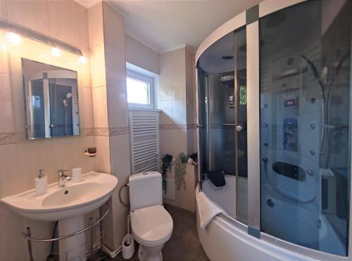 a bathroom with a sink and a shower and a toilet at Lelia Residence Apartments in Braşov