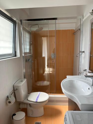 W łazience znajduje się prysznic, toaleta i umywalka. w obiekcie Elegant Escapes 4 w Atenach