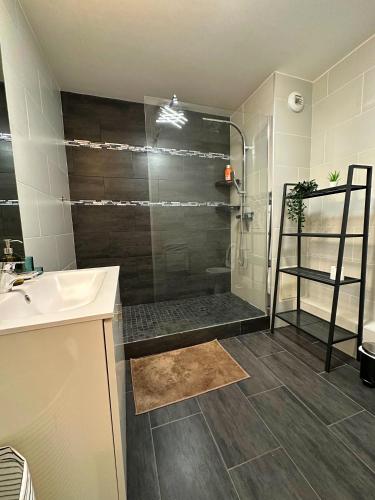 a bathroom with a shower and a sink at L'envolée - 15' de Paris & 10' du Stade de France in Saint-Denis