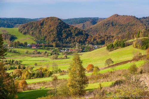 een groen veld met bomen en bergen op de achtergrond bij Agroturystyka Pod Bocianami Terka in Polańczyk