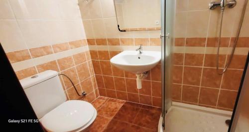 uma casa de banho com um WC, um lavatório e um chuveiro em Bouda Na Pláni - horská bouda em Spindleruv Mlyn