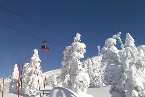 a ski lift with snow covered trees on a ski slope at Higashikawa Asahidake Onsen Hotel Bear Monte in Higashikawa