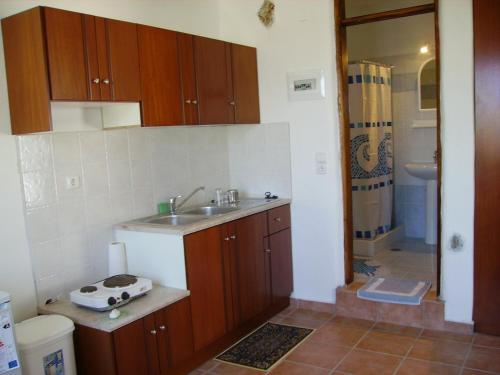 a small kitchen with a sink and a shower at Studios Happiness in Panteli