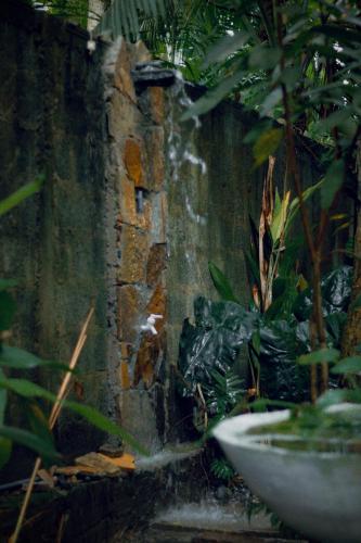 a stone wall with a sink in a garden at Bananas Mirissa in Mirissa