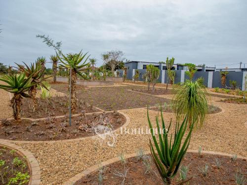 a garden with palm trees and a building at Elephant Boutique Lodge in Tswinga
