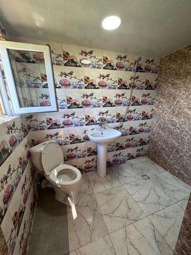 a bathroom with a toilet and a sink at Heshkili huts and cabins Svaneti in Keshkili