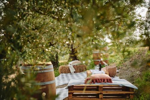a picnic table with a table cloth and a barrel at Villa Liverzano in Brisighella