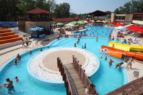 - un groupe de personnes dans une piscine d'un parc aquatique dans l'établissement Dunav 009, à Veliko Gradište