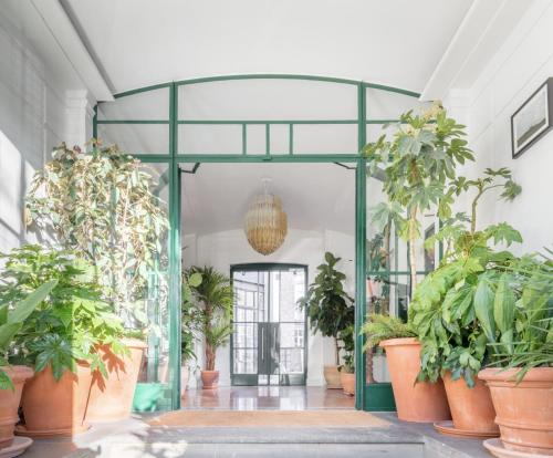 an indoor garden with potted plants in a building at Mason & Fifth, Bermondsey in London