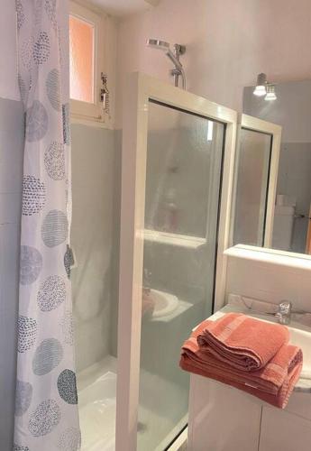 une salle de bain avec douche et lavabo dans l'établissement À deux pas de la plage, à Collioure