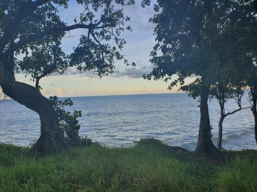 a view of the ocean from between two trees at Bungalow vacances in Sainte-Rose