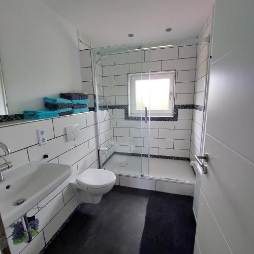 a bathroom with a toilet and a shower and a sink at Wolfi in Sankt Wendel