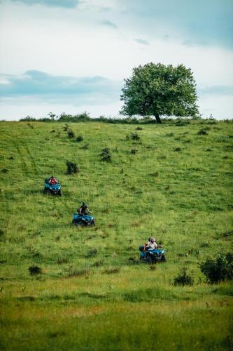 drie mensen op vier wielen in een veld bij ATVENTURO 