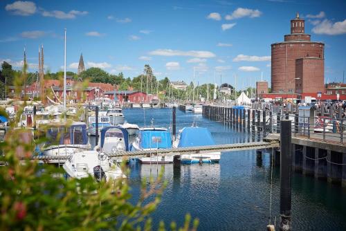 a group of boats docked at a marina at Ferienwohnung Brise 5, mit Spielscheune direkt am Wittensee in Bünsdorf