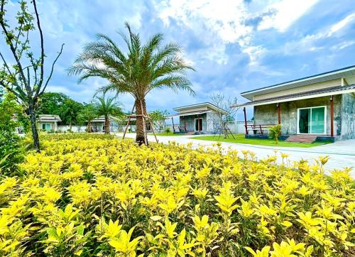 a field of yellow flowers in front of a house at Farm View Resort @Uthai Thani ฟาร์มวิว รีสอร์ท อุทัยธานี in Nong Khayang