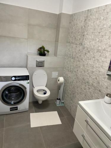 a bathroom with a toilet and a washing machine at Cuibul Verde Copou in Iaşi