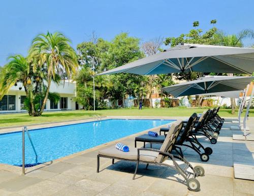 - une piscine avec 2 chaises longues et des parasols dans l'établissement Holiday Inn - Lusaka, an IHG Hotel, à Lusaka