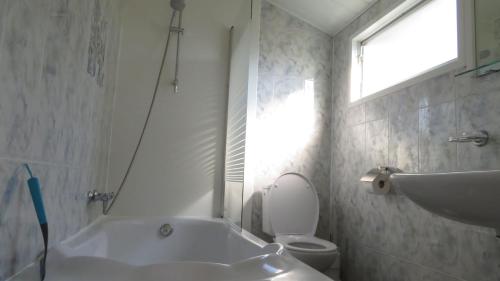 ein Badezimmer mit einer Badewanne, einem WC und einem Waschbecken in der Unterkunft gouwzicht in Amsterdam