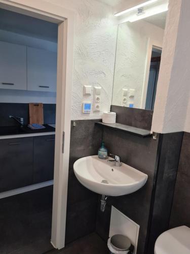 a bathroom with a sink and a mirror at FeWo Liam in Alsfeld