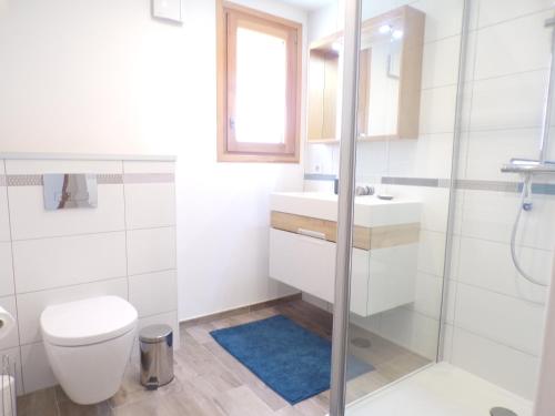 a bathroom with a toilet and a sink and a shower at Le Cocon de l'Estuaire, T2 confort, bord de plage et paysages in Saint-Jouan-des-Guérets