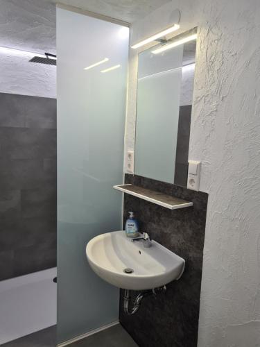 a bathroom with a white sink and a mirror at Fe Wo Nele in Alsfeld