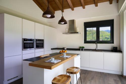 Una cocina o cocineta en Basque Haven by Fidalsa
