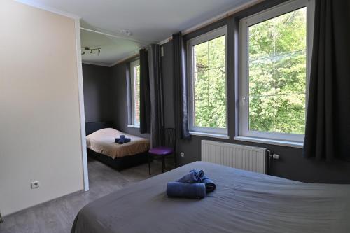 1 dormitorio con 1 cama y 2 ventanas en B&B De l' Aisne, en Durbuy