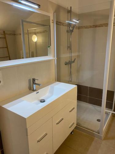 une salle de bain avec un lavabo blanc et une douche dans l'établissement Saint-Florent Appartement duplex, à Oletta