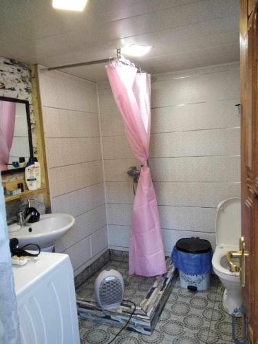 a bathroom with a pink shower curtain and a toilet at Ela in Ushguli