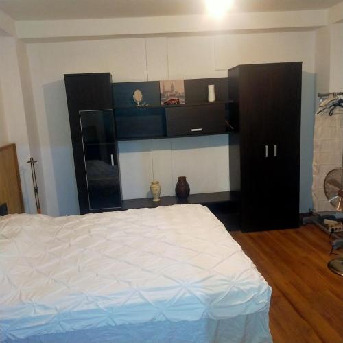 1 dormitorio con cama blanca y armarios negros en Vila ELENA Ap 1, en Bucarest