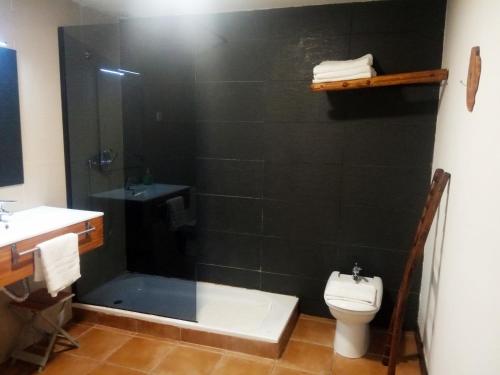 a bathroom with a shower and a toilet and a sink at El Olivo in Torre del Compte