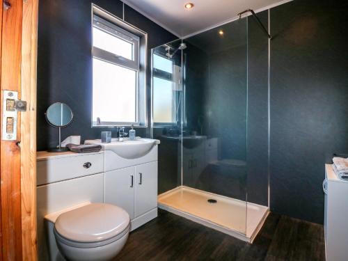 a bathroom with a shower and a toilet and a sink at Rowan Cottage in Arbroath