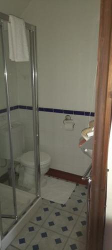 a bathroom with a toilet and a sink at The Old Court House Guest House in Ross on Wye