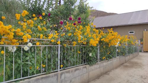 a garden of colorful flowers behind a fence at GreenHouse in Naryn