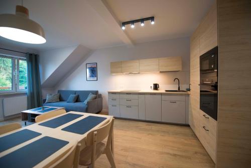 Kuchyň nebo kuchyňský kout v ubytování Apartament Pod Reglami