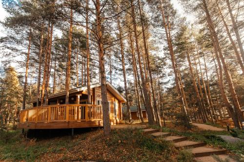 a log cabin in the middle of a forest at Sea Home Resort in Ozerki