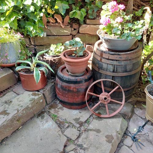 a group of pots and potted plants on top of barrels at Beim Schlafwandler in Karlsbad