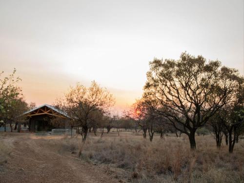 a dirt road in front of a building with trees at Minara Private Boutique Game Lodge in Dinokeng Game Reserve
