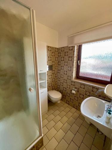 a bathroom with a shower and a toilet and a sink at Ferienwohnung Almblick in Reit im Winkl