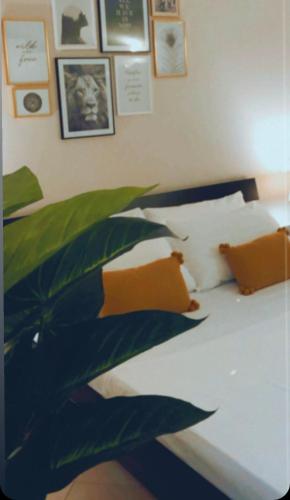 Momy Home – Photos 2